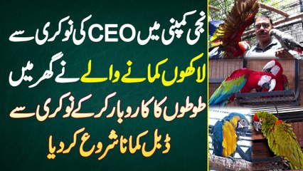 CEO Ki Job Se Laakhon Kamane Wale Ne Ghar Me Parrots Ka Business Kar Ke Double Kamana Shuru Kar Dia