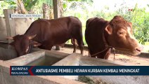 Peternak di Semarang Siapkan 10 Ekor Sapi dan Kambing untuk Idul Adha