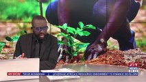 The Big Stories || Green Ghana Day: 10 million trees to be planted across the country - JoyNews