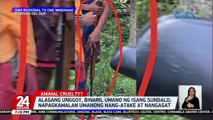 Alagang unggoy, binaril umano ng isang sundalo; napagkamalan umanong nang-atake at nangagat | 24 Oras