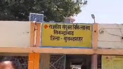 बुलंदशहर में कुतों और बंदरों की दहशत, मासूमों को बना रहे शिकार