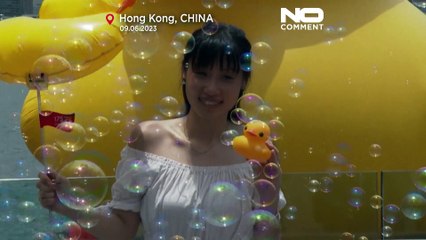 Os patos amarelos gigantes estão de regresso a Hong Kong