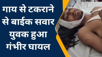 भीलवाड़ा: गाय से टकराने से बाईक सवार युवक हुआ गंभीर घायल