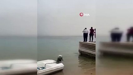 Yüzen Rus turisti parçalayan köpekbalığı dövülerek öldürüldü