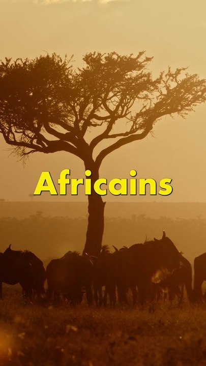 Les proverbes Africains les plus Marrants Pt.1