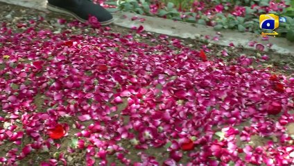 Bhabhi Ka Jhota Chehra Hua Benaqab        