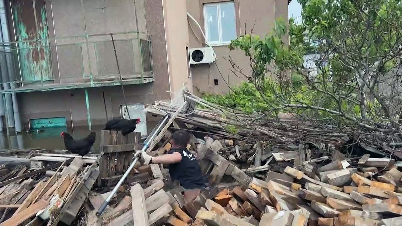 Helfer retten Tiere aus Wassermassen in Cherson