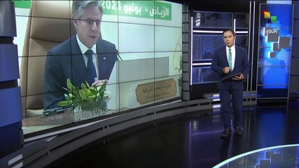 Terranova: Arabia Saudita busca defender sus intereses nacionales de forma legítima