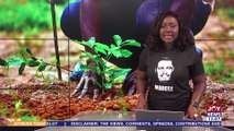Joy News Today || Green Ghana Day: Prof. Frimpong life achievements are merit-based - German Amb.