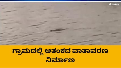 ಗದಗ: ಮಲಪ್ರಭಾ ನದಿ ಪಾತ್ರದಲ್ಲಿ ಮೊಸಳೆ ಪ್ರತ್ಯಕ್ಷ