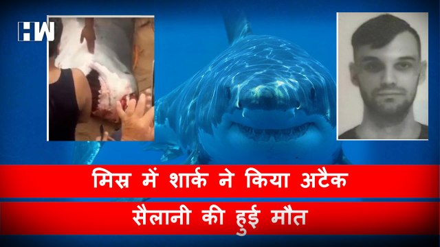 Egypt Shark Attack | मिस्र में शार्क ने रूसी पयर्टक पर किया अटैक| Red Sea| Hurghada| Russian Tourist