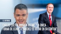 Carlos Cuesta anima a votar: 