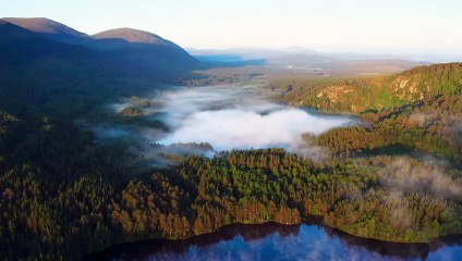 Wild Isles - Official Trailer | Prime Video