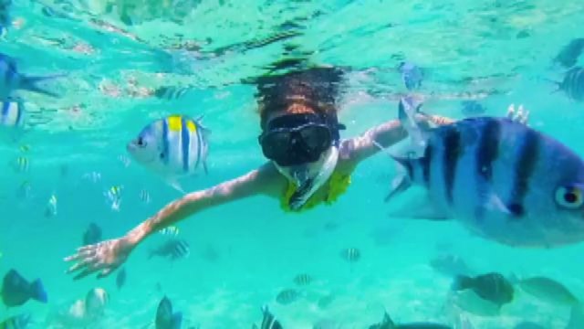 Sharm el Sheik, Nicolaus punta al raddoppio presenze nei resort