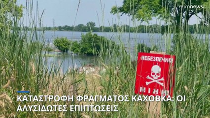 Ουκρανία: Οι αλυσιδωτές επιπτώσεις από την καταστροφή του φράγματος Νόβα Καχόβκα