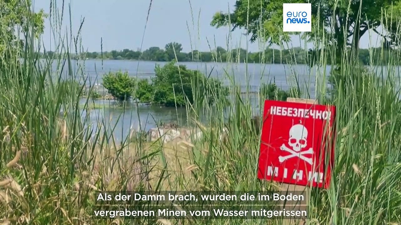 "Ökozid kennt keine Grenzen": Welche Gefahren nach Kachowka-Dammbruch drohen