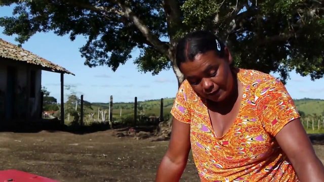 Sala de Notícias l Geração Z Rural