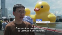 Le canard géant, symbole de paix, de retour dans la baie de Hong Kong