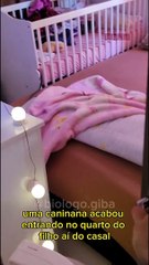 Cobra é capturada dentro de berço