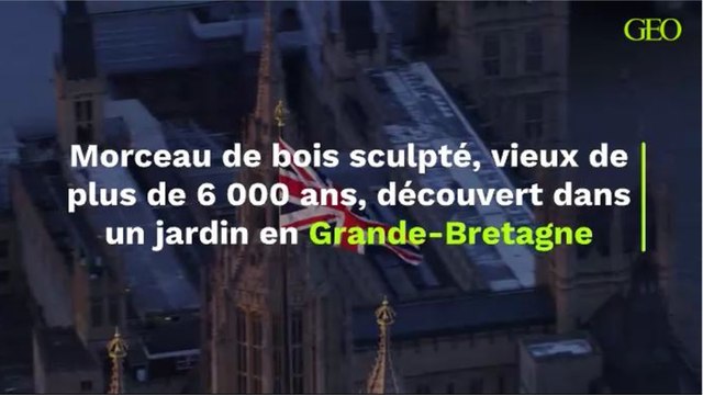 Morceau de bois sculpté, vieux de plus de 6 000 ans, découvert dans un jardin en Grande-Bretagne