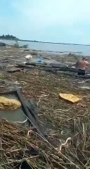 Rasto de destruição de barragem começa a chegar a Odessa. Cão resgatado