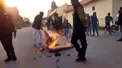 *लखनऊ में डॉ शकुंतला मिश्रा विश्वविद्यालय में किया प्रदर्शन, छात्रों ने बृज भूषण सिंह का पुतला भी जलाया‼️‼️*