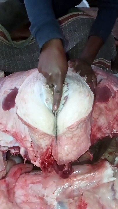 Best mest cutting skills in village beef market #shorts
