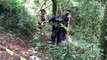 Homem desaparecido é encontrado morto em riacho no Bairro Parque Verde, em Cascavel