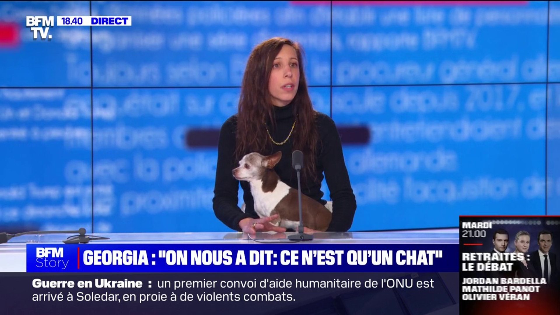 Chat Ecrase Par Un Tgv Pour La Fondation Brigitte Bardot C Est Etonnant Que La Sncf Ne S Inscrive Pas Dans Le Renforcement De La Protection Animale Video Dailymotion