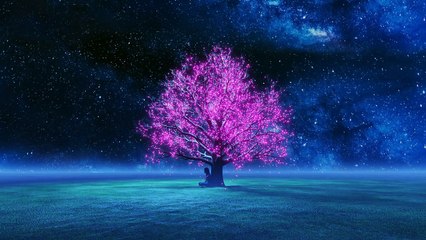 Metaverso di Natale, Cristiana Falcone clip