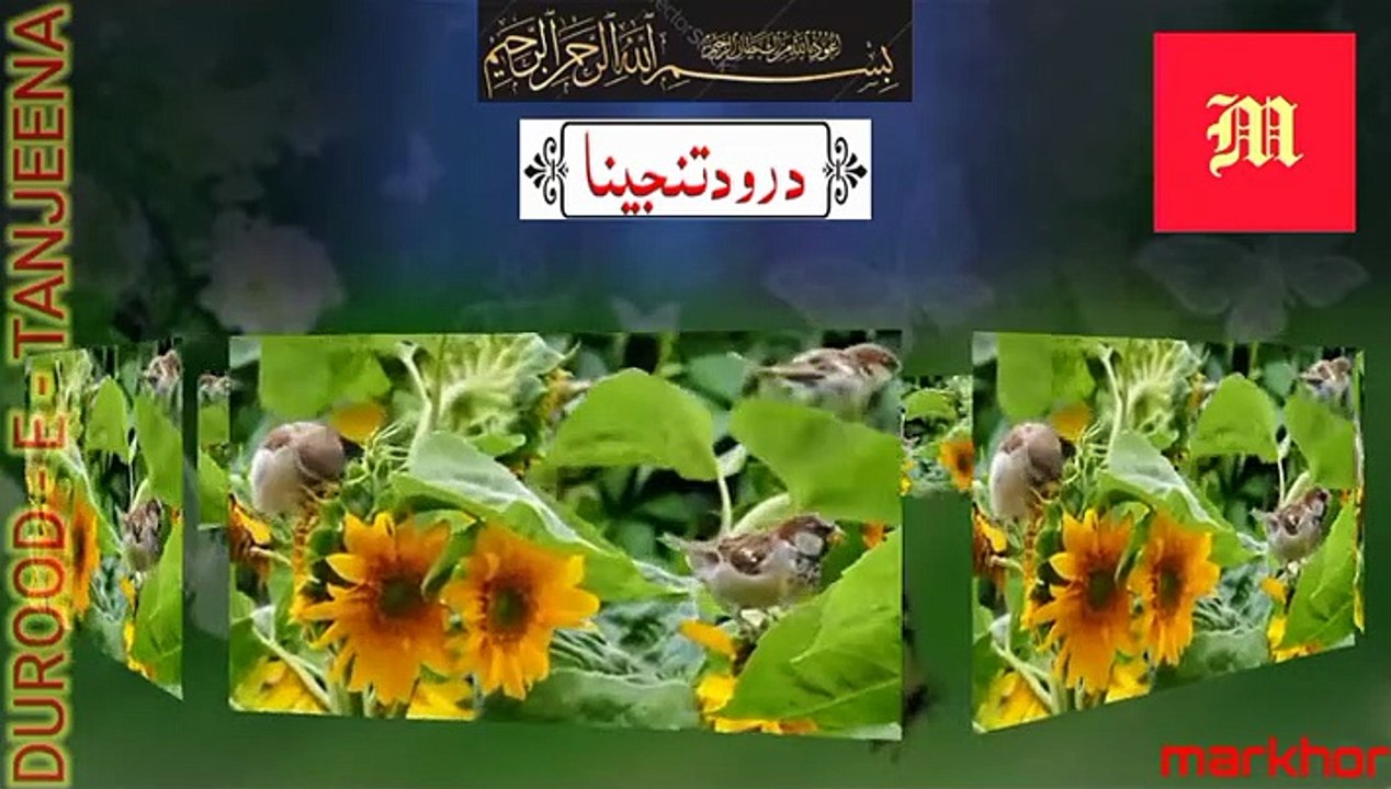Darood e Tanjeena-Darood Tanjeena-Tanjeena-Tanjeena Darood-Darood Tanjeena Ka Wazifa-markhor
