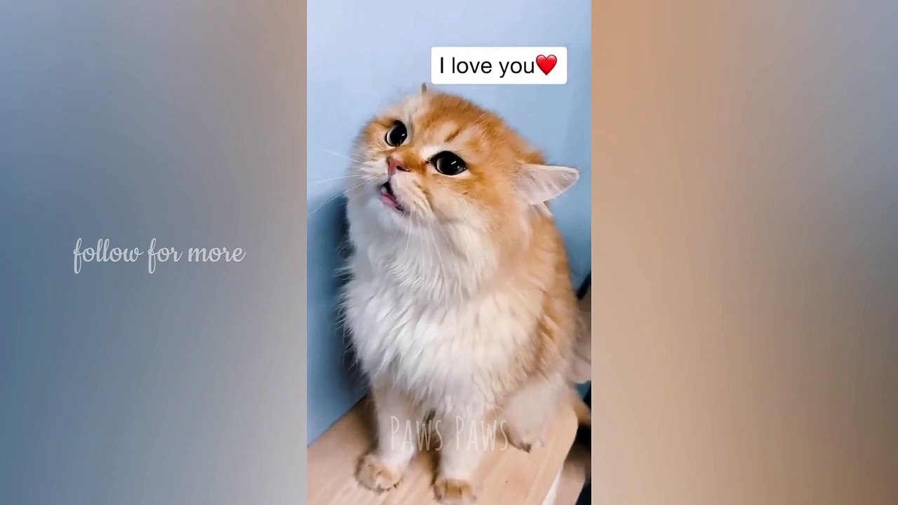 He confesses his love to her