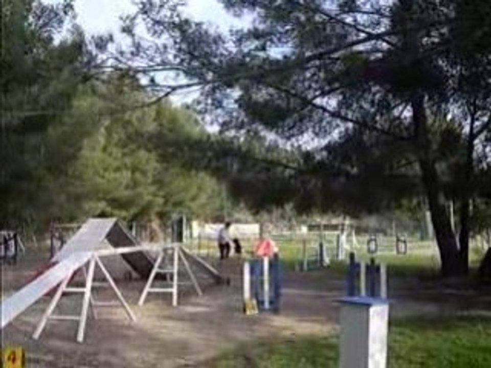 Atchoum à l'agility