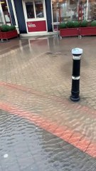 Flooding in Hastings - eel spotted swimming through town