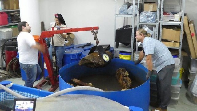 Les secrets engloutis - Pirates des Caraïbes