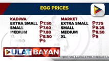 Mga negosyante ng tinapay, dumarayo sa Kadiwa Stores para sa mas murang itlog
