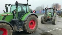 Linate, Copagri Lombardia in protesta