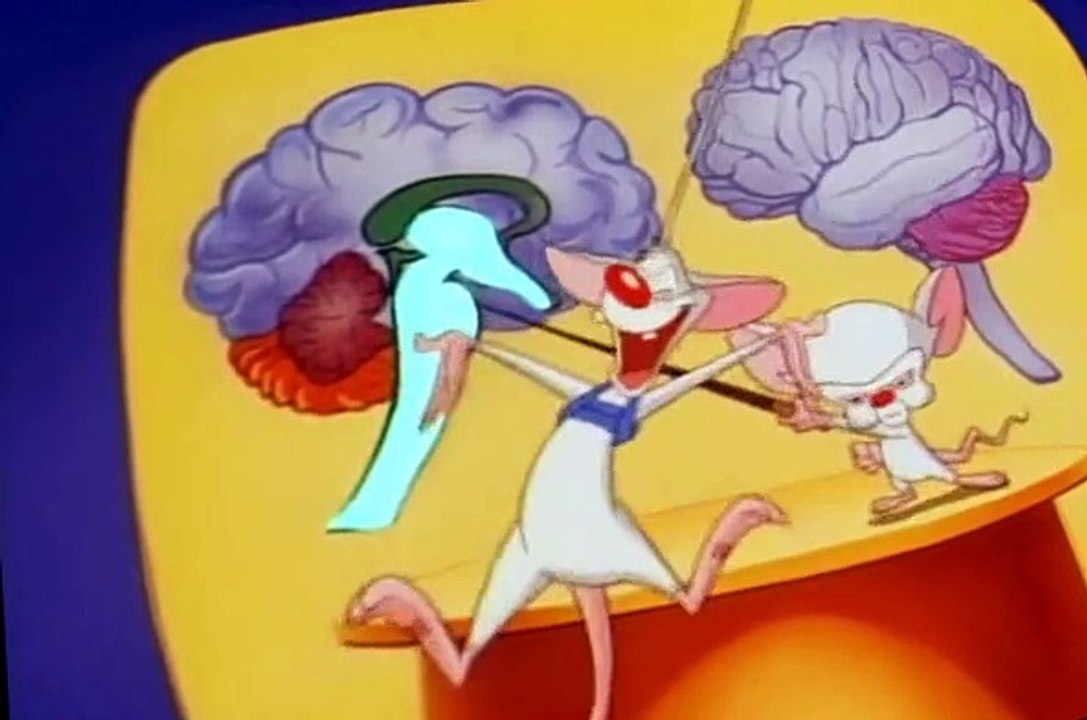 Pinky and the Brain S01 E05
