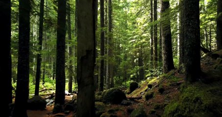 منظر طبيعي يشعر بالراحة والاسترخاء