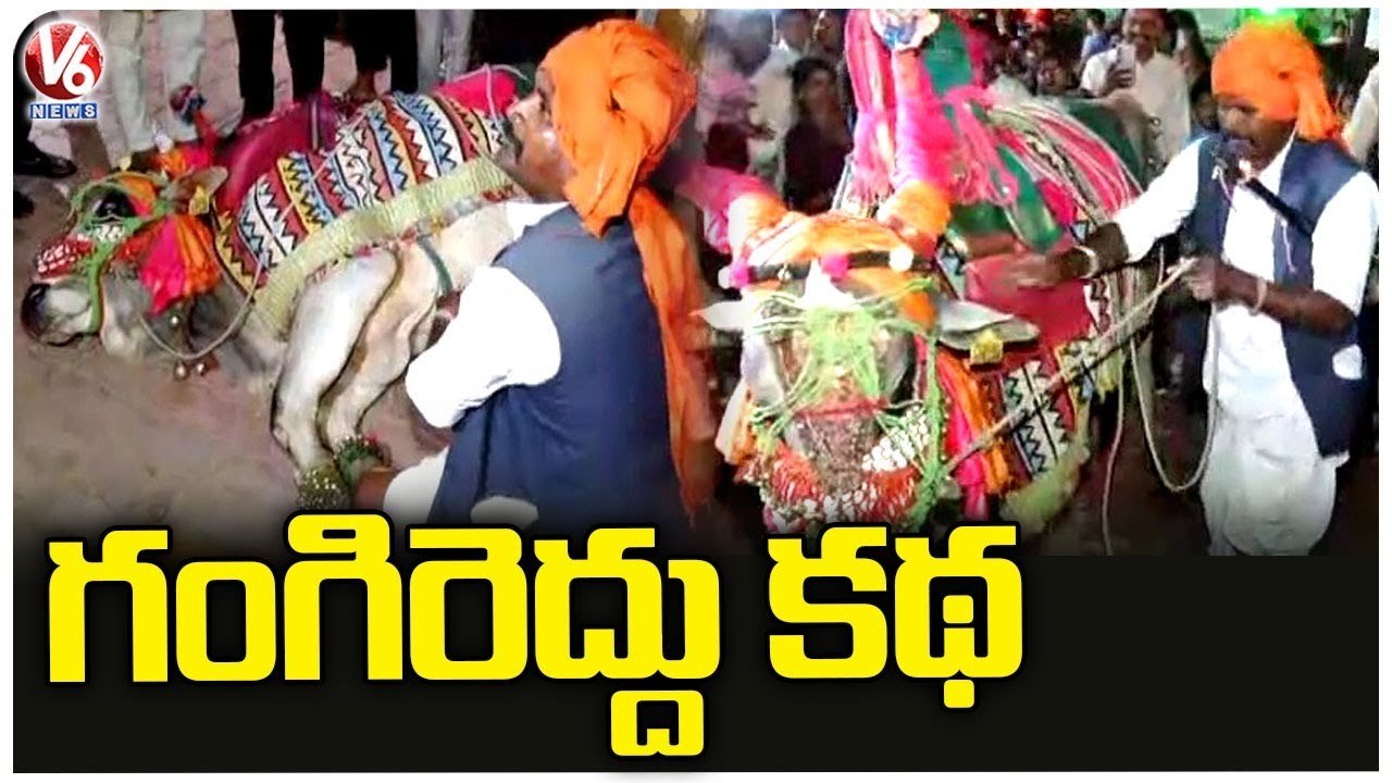 Gangireddu Dance Attracts People In Shilparamam | Gangireddu Story Explained | Hyderabad | V6 News