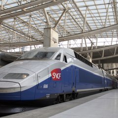 Le parcours du combattant de cette grand-mère pour acheter un billet de train finit par une grosse amende (2)