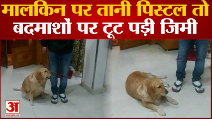 Meerut News : मालकिन पर तानी पिस्टल तो बदमाशों पर टूट पड़ी जिनी, नहीं कर पाए लूट