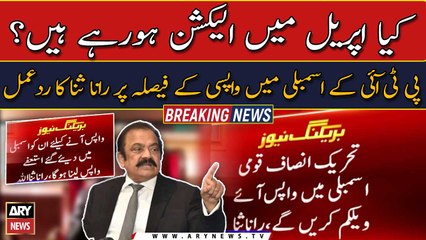 Rana Sanaullah's reaction on PTI's decision to return in National Assembly