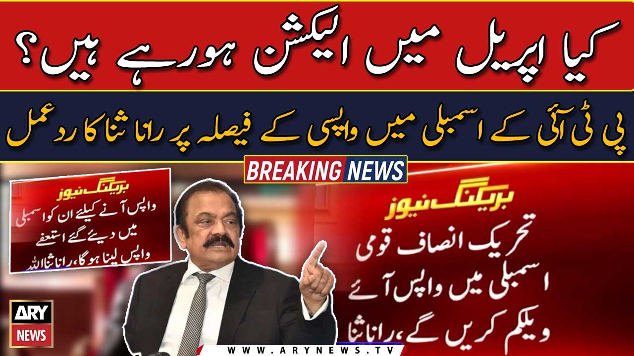 Rana Sanaullah's reaction on PTI's decision to return in National Assembly