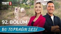 Bu Toprağın Sesi 92. Bölüm - Bu Toprakların Değerleri; Akbaş ve Kangal Çoban Köpekleri