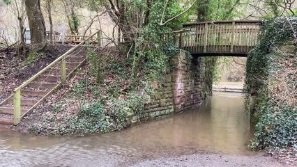 The River Wye at Bishopswood Village Hall, January 16, 2023