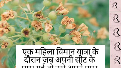 एक सैनिक के बलिदान की कहानी |Hindi story| Short story |AnuRagini voice