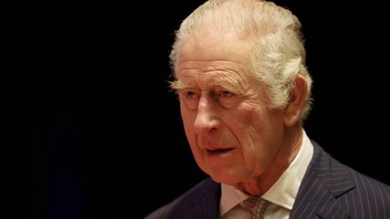 Experte: Darum sollte Charles Angst vor Harry haben