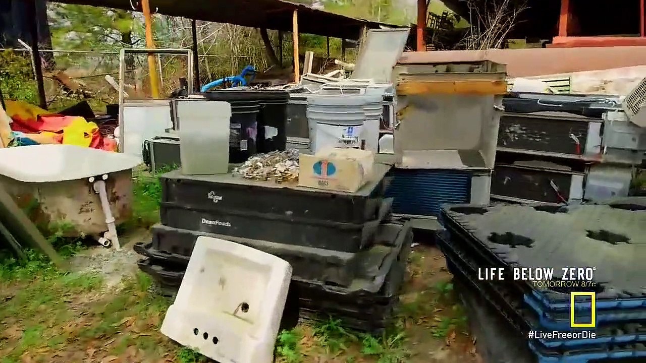 Live Free or Die - Se3 - Ep09 - Colbert HD Watch