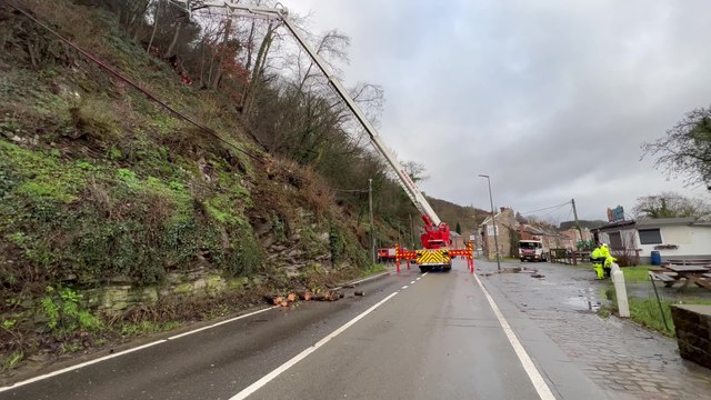 Huy : un arbre s’est abattu le long du quai qui rejoint Namur